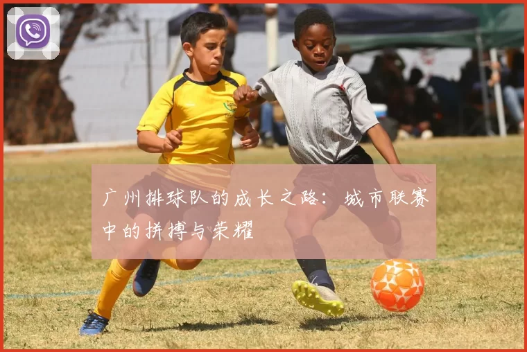 广州排球队的成长之路：城市联赛中的拼搏与荣耀