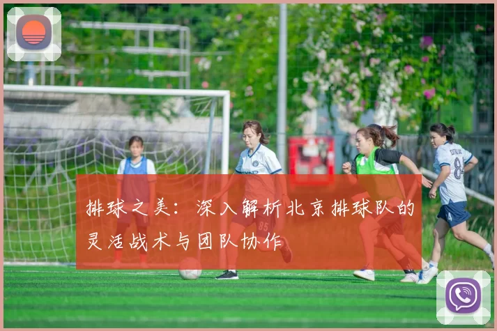 排球之美：深入解析北京排球队的灵活战术与团队协作