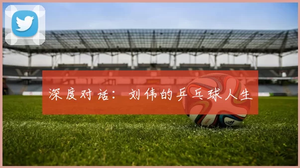 深度对话：刘伟的乒乓球人生