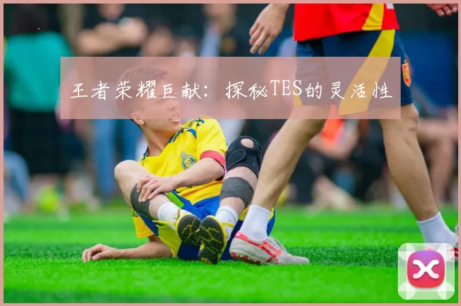 王者荣耀巨献：探秘TES的灵活性