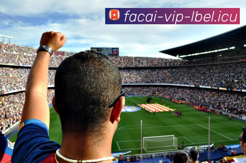 App Interface Preview