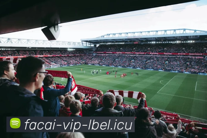 乐鱼体育APP 封面图